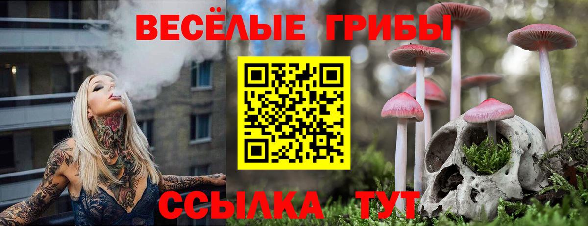 Псилоцибиновые грибы MAGIC MUSHROOMS Ачинск